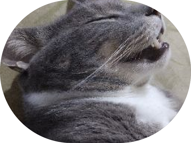 Foto 4 de Clínica Marques Odontologia