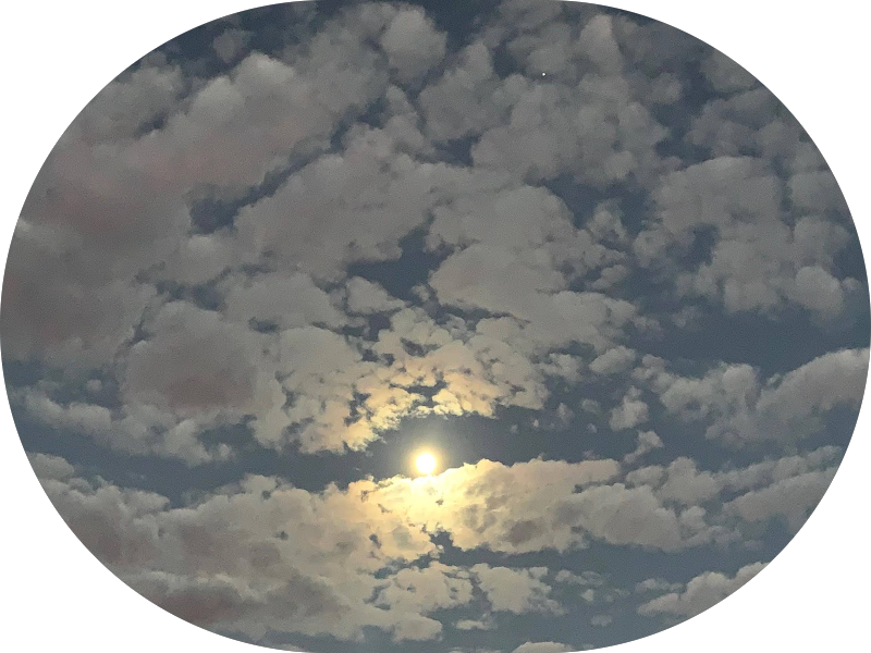 Foto 3 de Clínica Maximus Estética e Odontologia em Contagem