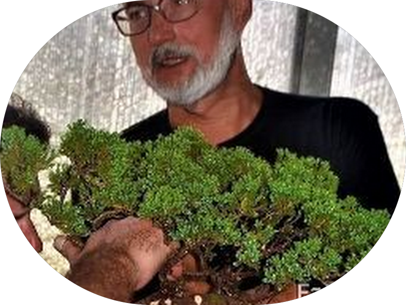 Foto 2 de CLINICA MICHEL.