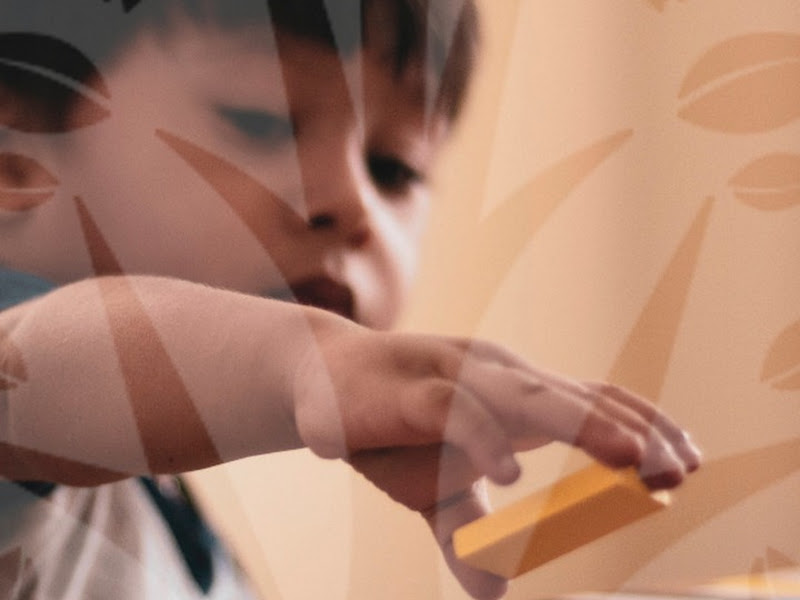 Foto 3 de Clinica Minds - Espaço Terapêutico