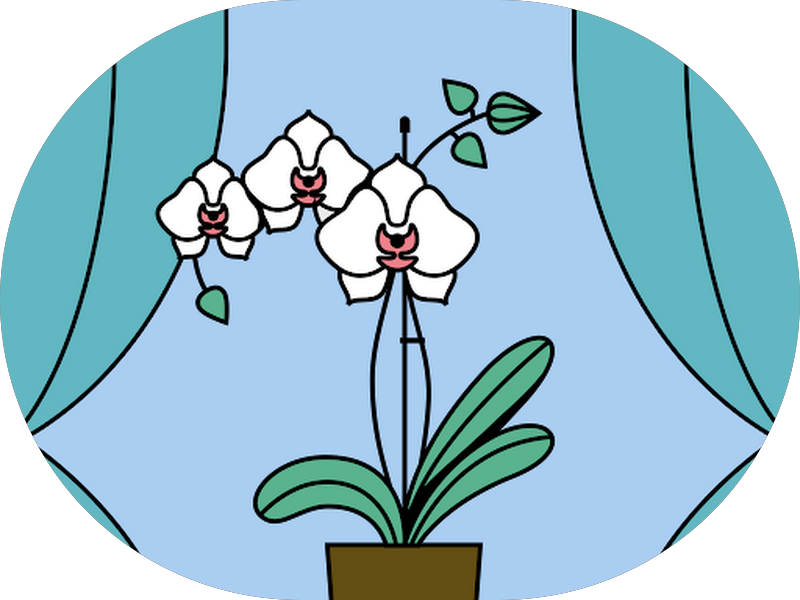 Foto 5 de Clínica Moon Odontologia