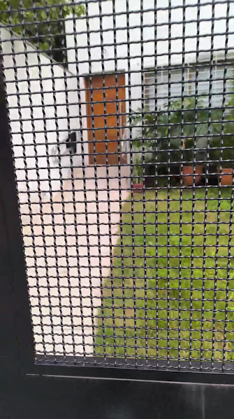 Foto 2 de Clínica Morales