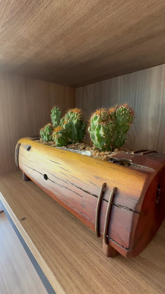 Foto 3 de CLÍNICA MOYA