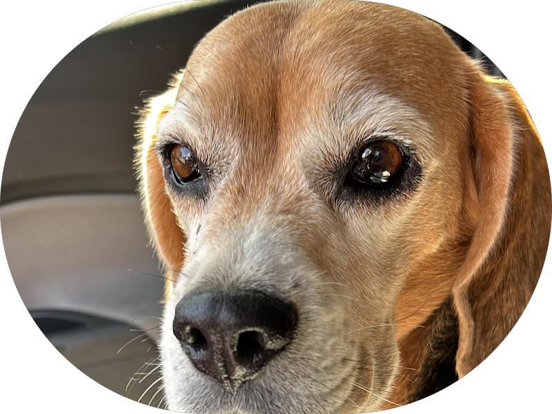 Foto de Clínica Müller - Odontologia Especializada