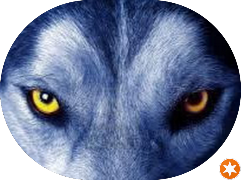 Foto 3 de Clínica Multidisciplinar Abreu e Mangolini Odontologia, Saúde e Bem Estar