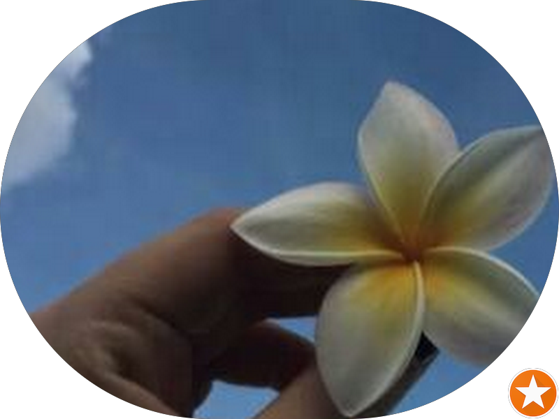 Foto 4 de Clinica Nosso Dentista Cidade Nova