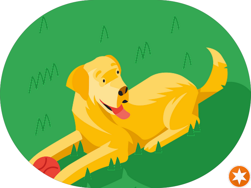 Foto 3 de Clínica Novo Olhar