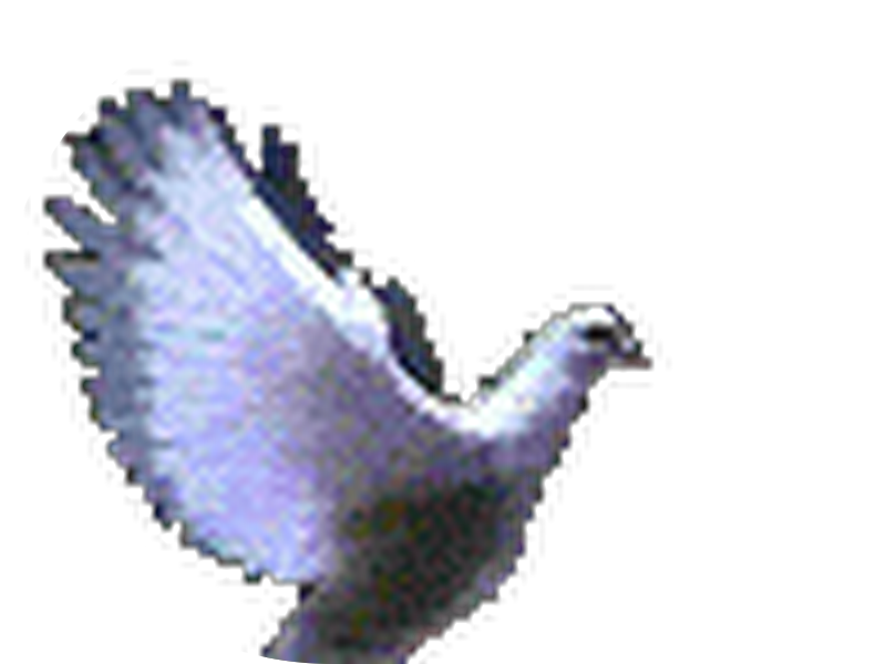 Foto 5 de Clínica Novo Sorriso