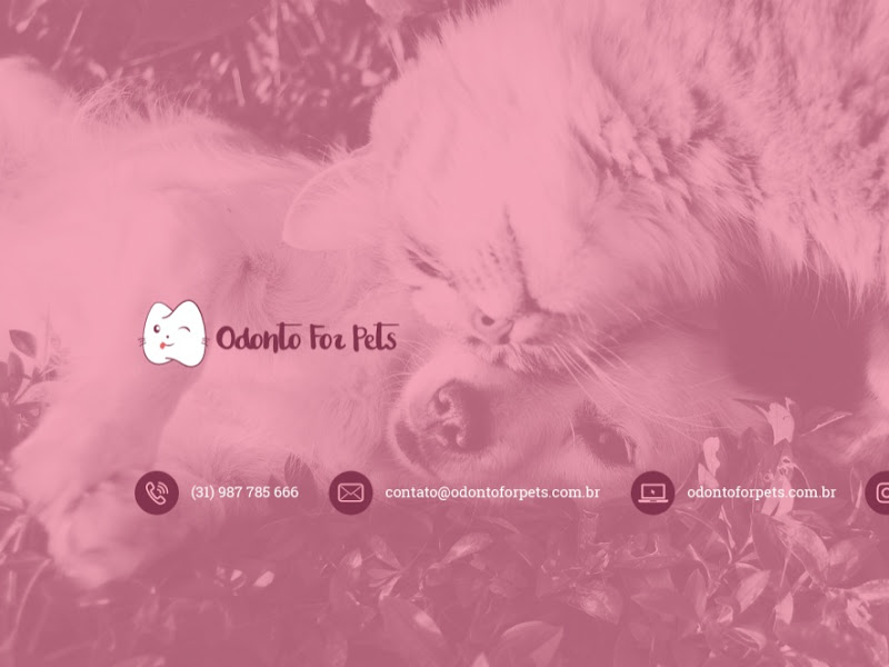 Foto 7 de Clínica Odonto 4D