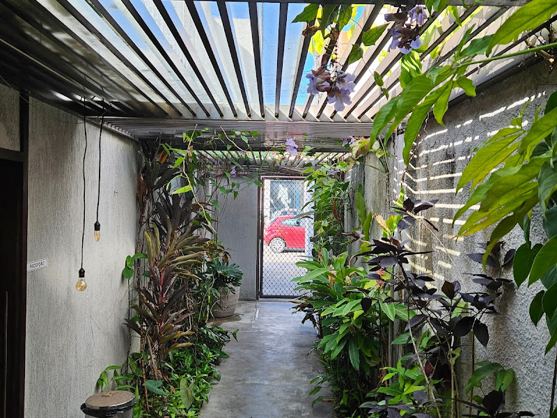 Foto 3 de Clínica Odonto Zamora