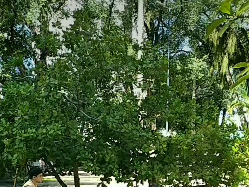 Foto de Clínica Odontológica