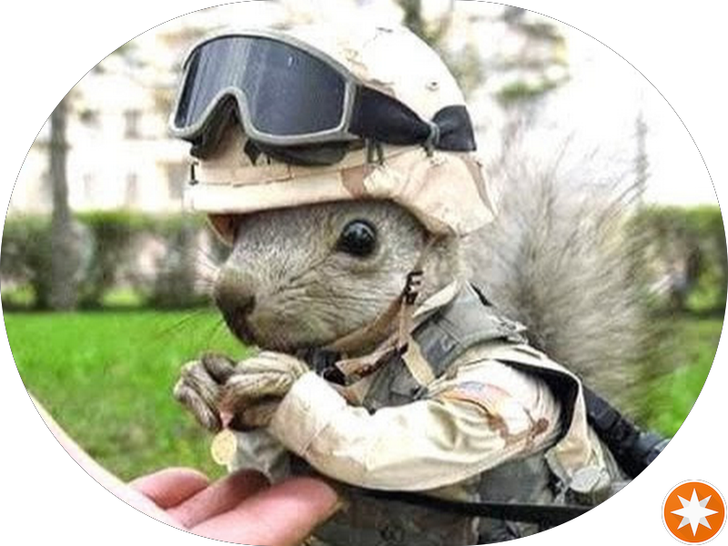 Foto 4 de Clínica Odontológica