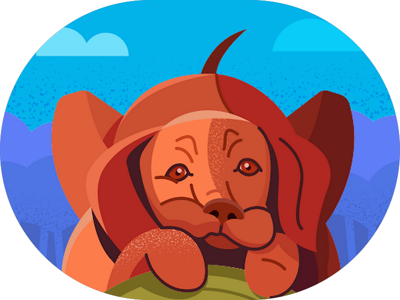 Foto 3 de Clinica Odontológica Carvalhais (Integrar Odontologia)