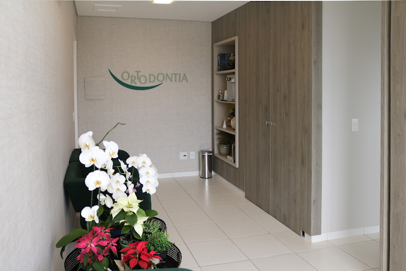 Foto 3 de Clínica Odontológica com foco em Ortodontia- Invisalign Dra Mariângela Terra Nogueira e Dra Isabela Nogueira Milesi