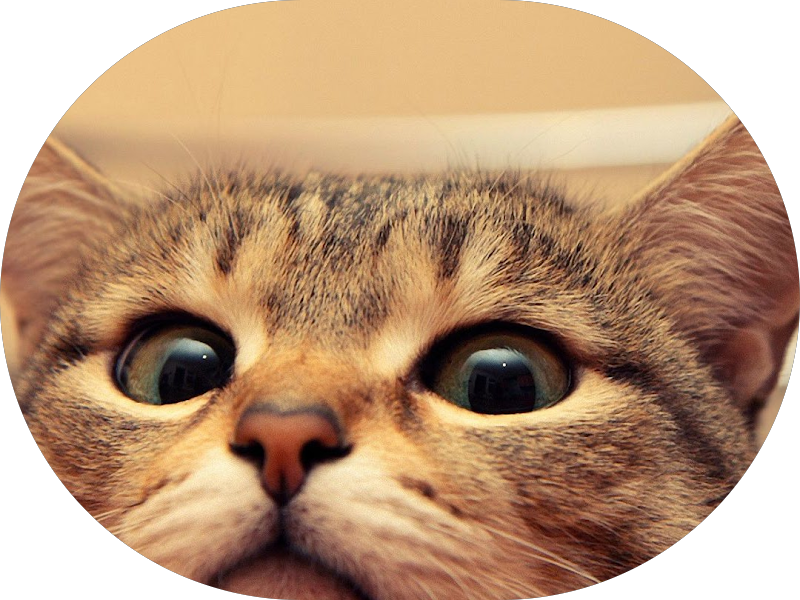 Foto 5 de Clínica Odontológica Dantas Bahia