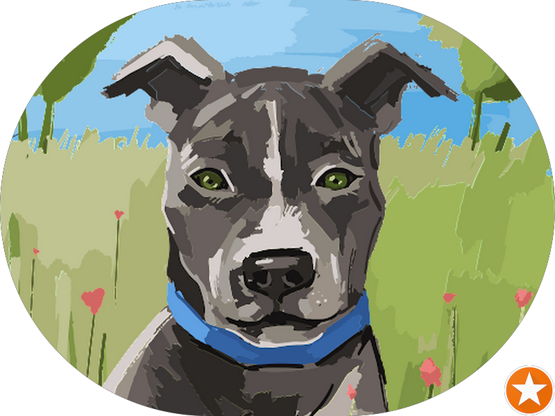 Foto 2 de Clínica Odontológica Dens Odontologia