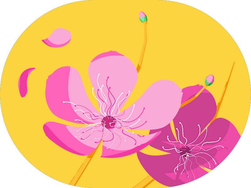 Foto 5 de Clínica Odontológica Dents