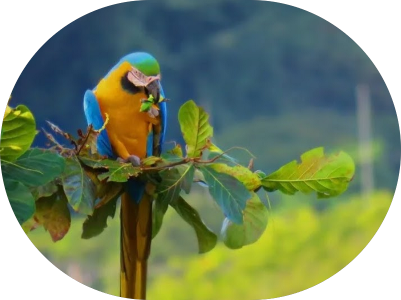 Foto 4 de Clínica Odontológica DNTBRAS Ceilândia