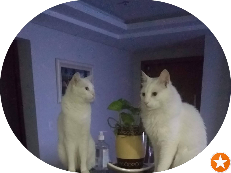 Foto 2 de Clínica Odontológica Dra Maiara Ldta.