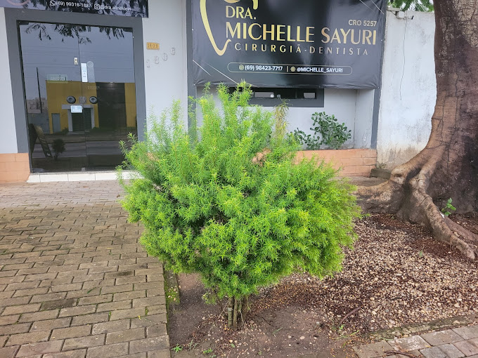 Foto 2 de Clínica Odontológica Dra. Michelle Sayuri