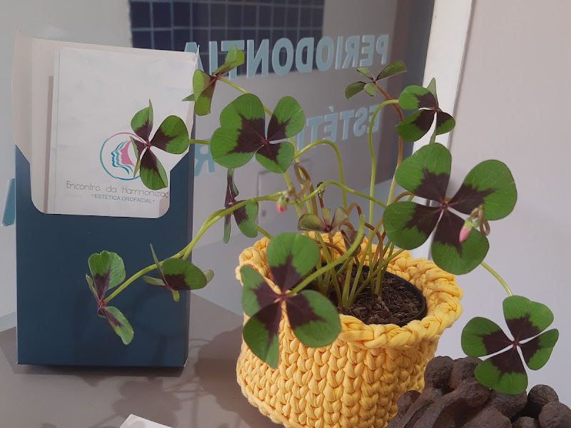 Foto de Clínica Odontológica Facialis