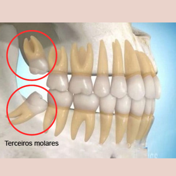 Foto 5 de Clínica Odontológica LAVID
