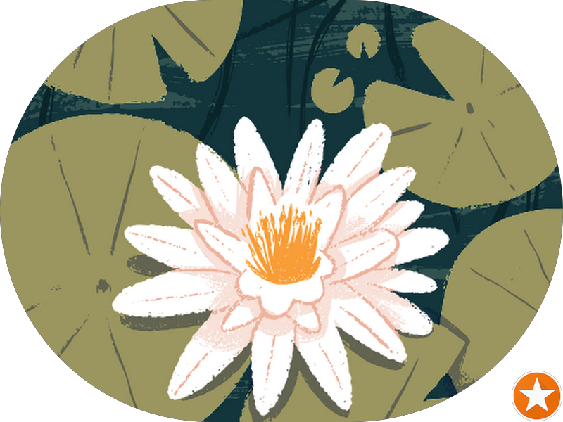 Foto 6 de Clinica Odontologica Matsubara