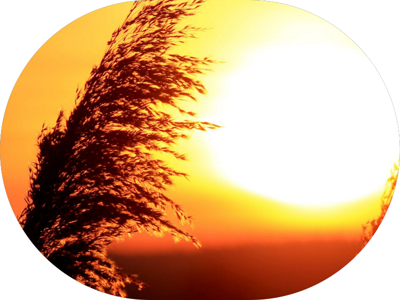 Foto 5 de Clínica Odontológica| Oral Master - Ortodontia, Implantes, Tratamento de Canal, Lentes - Contagem