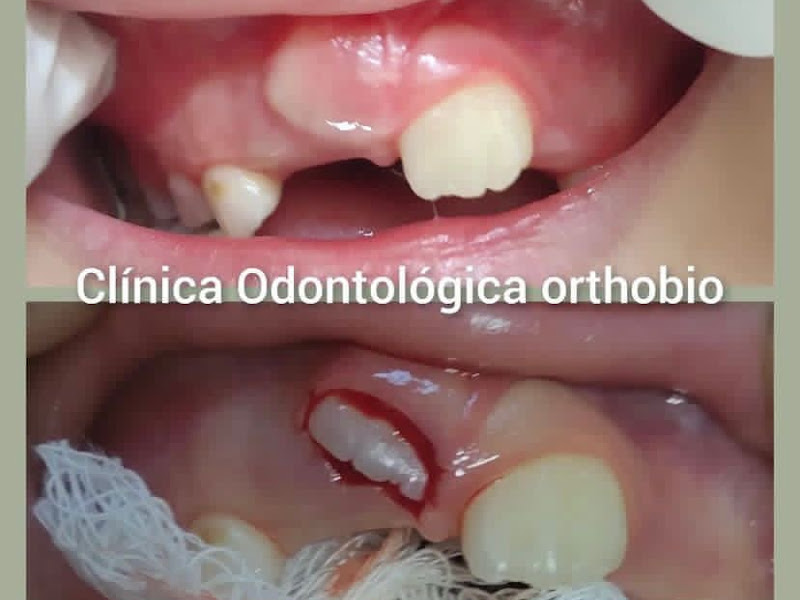 Foto 4 de Clínica Odontológica Orthobio
