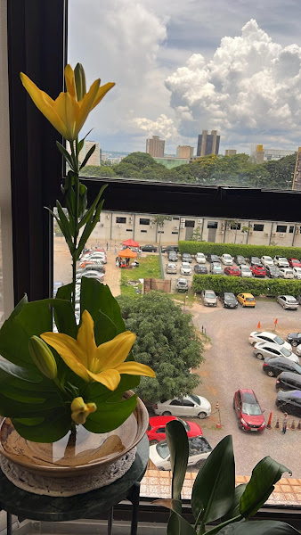 Foto 3 de Clínica Odontológica PIO XII