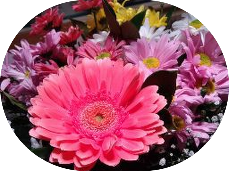 Foto 4 de Clínica Odontológica Pita