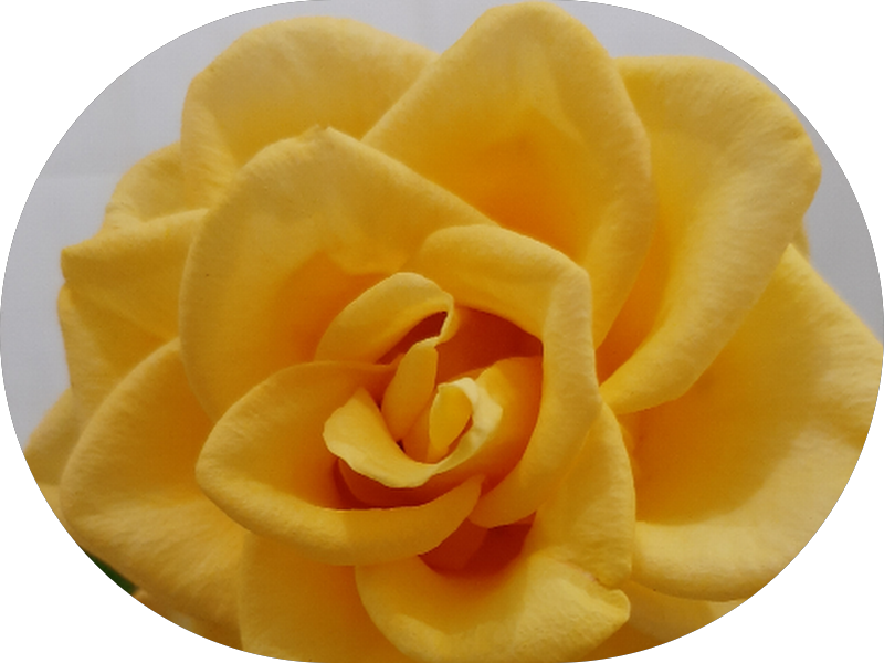 Foto 6 de Clínica Odontologica Progresso