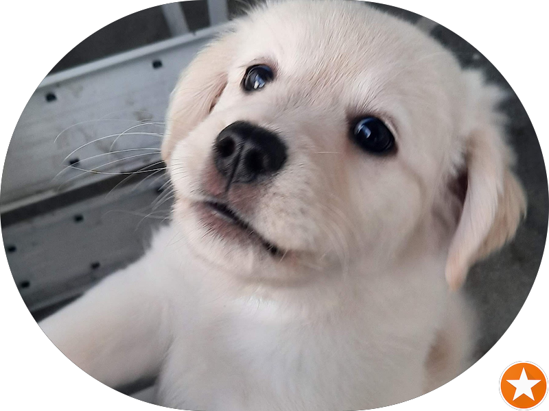 Foto 5 de Clínica odontológica São José. Dra Maria Dib