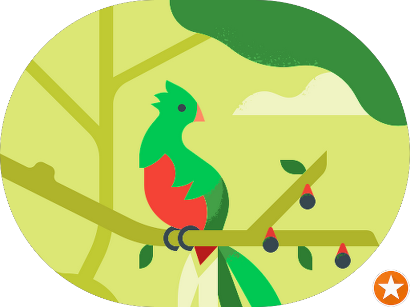 Foto 5 de Clínica Odontológica Sorria Penha