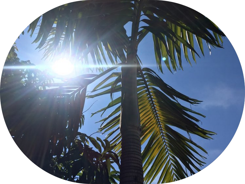 Foto 4 de Clínica Odontológica Tropical - Dentista Campinas adulto e infantil