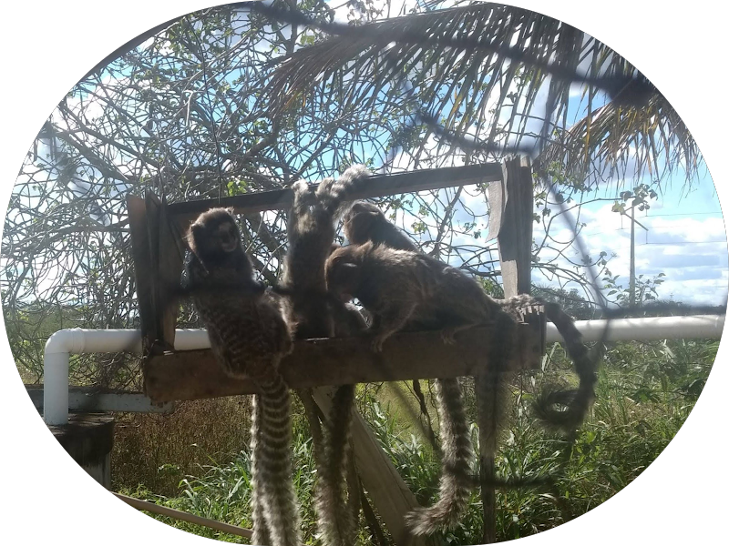 Foto 2 de Clínica Odontológica Universitária da UEFS