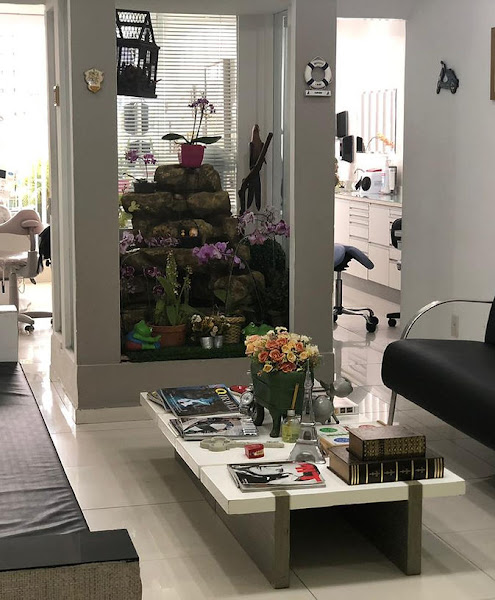 Foto 3 de Clínica Odontológica Valéria Aniceto em Pinheiros SP, Aparelho Invisivel, Lentes de Contato Dental, Implante, Prótese