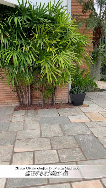 Foto 3 de Clínica Oftalmológica Dr. Matta Machado - Oftalmologista