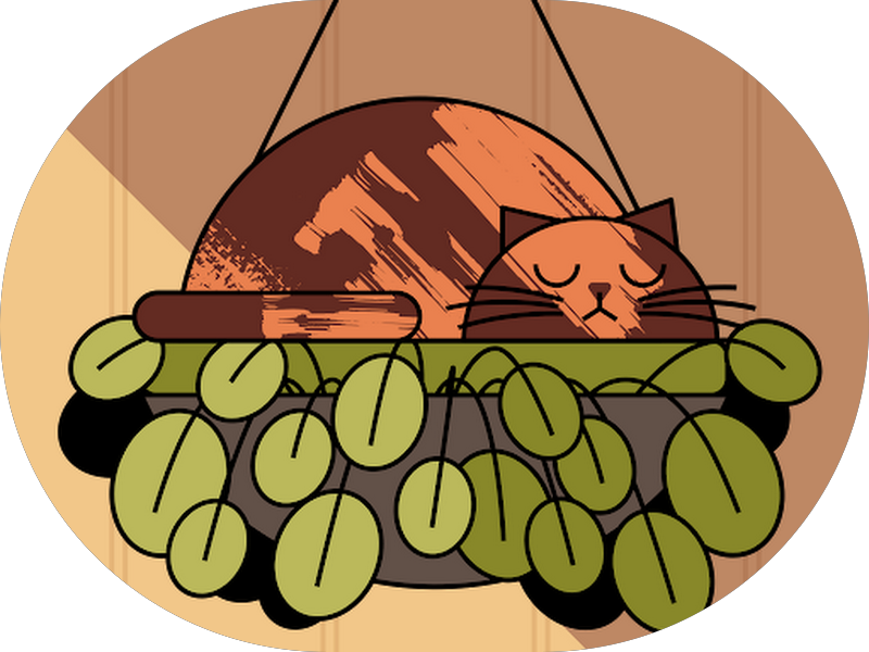 Foto 4 de Clínica Oral Laser - Odontopediatria - Dra Daniela Hildebrand