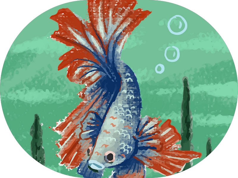 Foto 4 de Clínica Oral Unic Chapecó