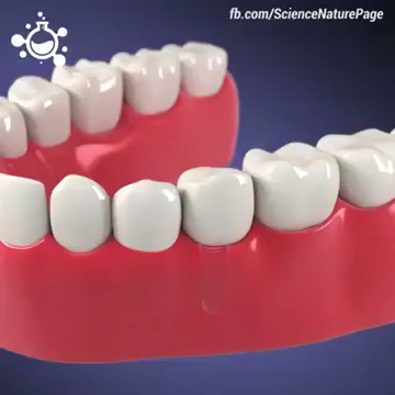 Foto 3 de Clínica Orali Odondologia Estética