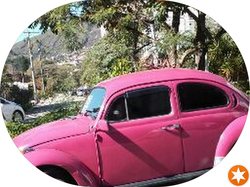 Foto 2 de Clínica Orto e Cia