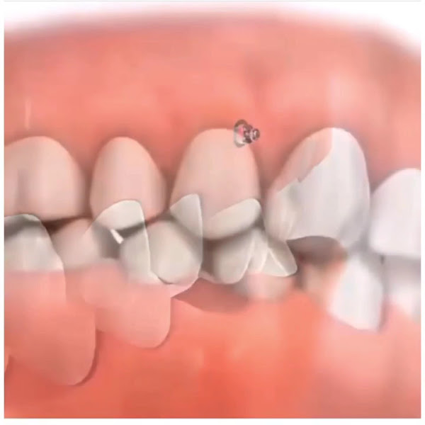 Foto 3 de Clínica Ortosan - Dra Samantha Morimoto