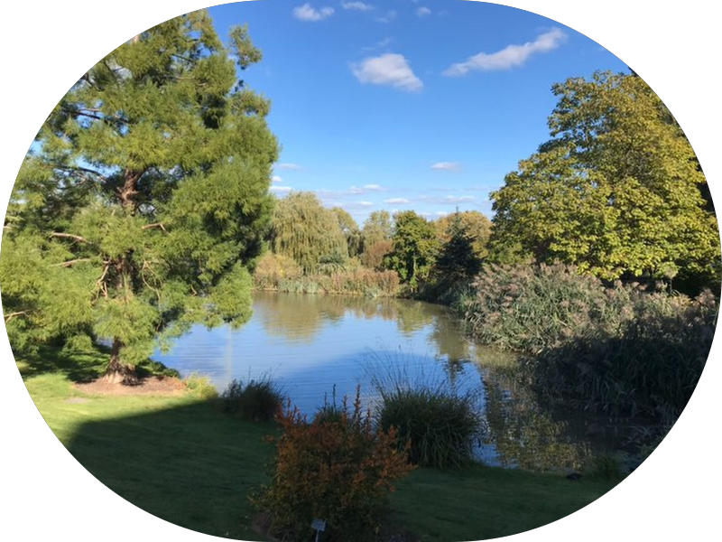 Foto 6 de Clínica Ortyx Odontologia e Prevenção