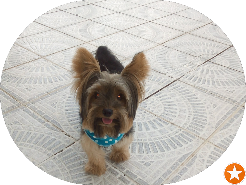 Foto 3 de Clínica Perfil