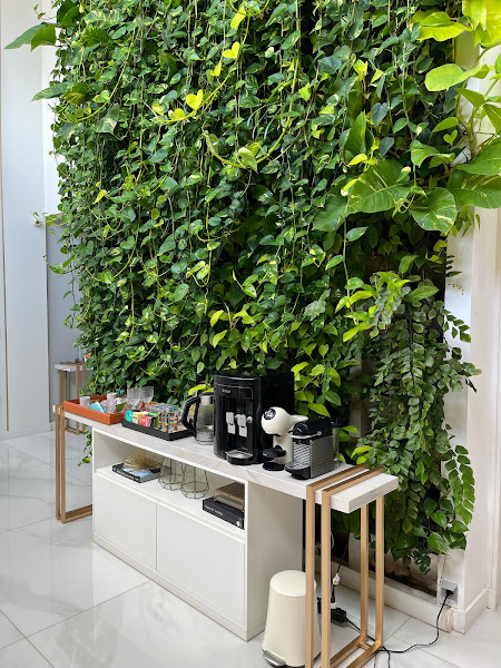 Foto 3 de Clínica ProCutis, Dra Nathasha Gelelaite