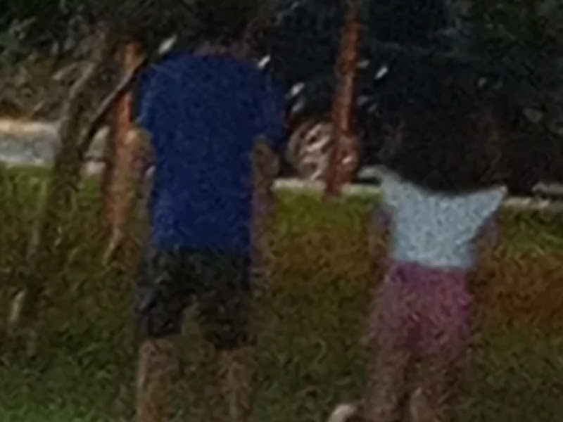 Foto 3 de Clínica Prodonto