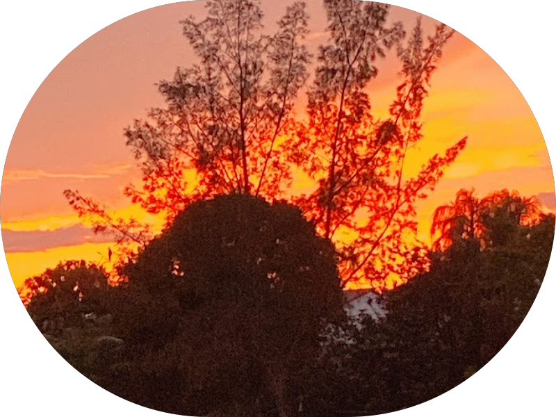 Foto 6 de Clínica Rafael Reynaldo Odontologia e Medicina - Sobral