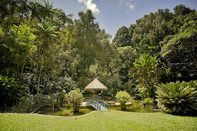 Foto 2 de Clínica Revitalis - Unidade Araras