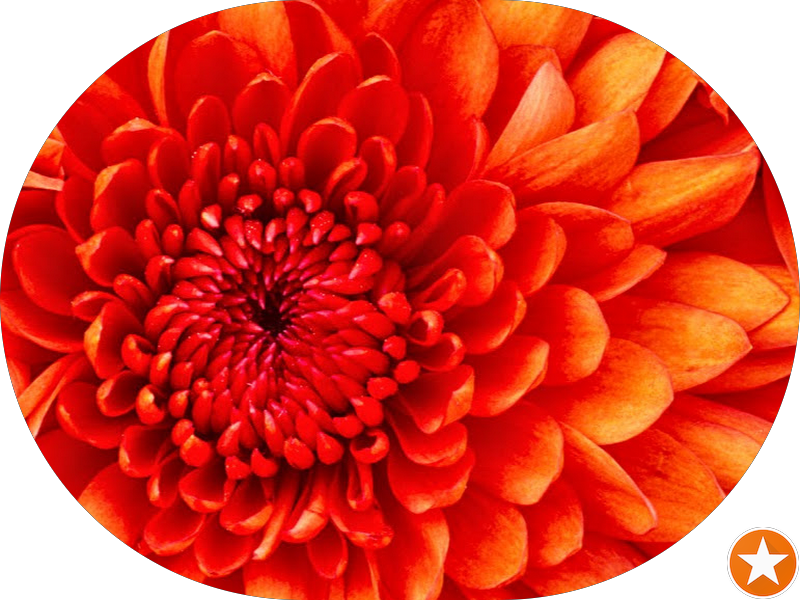 Foto 8 de Clínica Rios